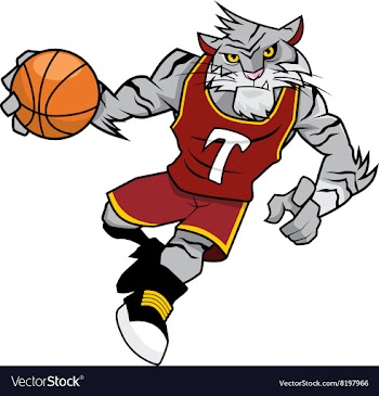 Basket Ball Mascot White Tiger vector image