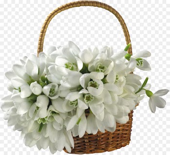 Basket Flower bouquet Clip art - banquet 