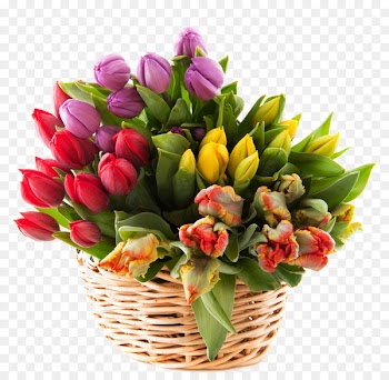 Basket Flower bouquet Tulip Floristry - Tulip inside basket 