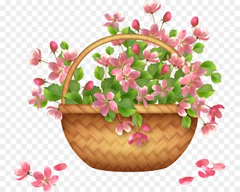 Basket Flower Clip art - flower 