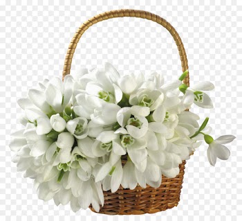 Basket Flowerpot White Wallpaper - Bouquet of white material 
