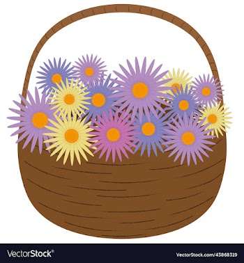 basket full of varicolored autumn aster flowers