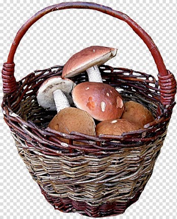 Basket , mushrooms transparent background PNG clipart