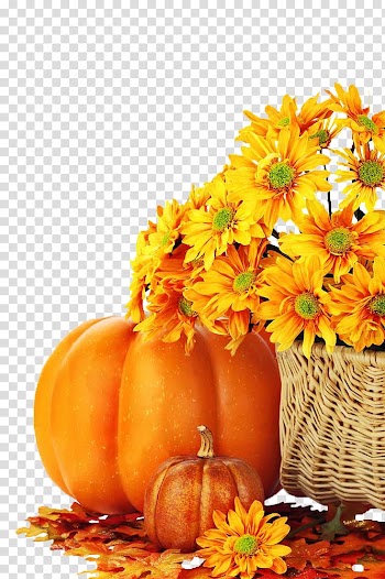 Basket of yellow daisies beside pumpkins, Charlie Brown Pumpkin Facebook Autumn Eggnog, pumpkin transparent background PNG clipart