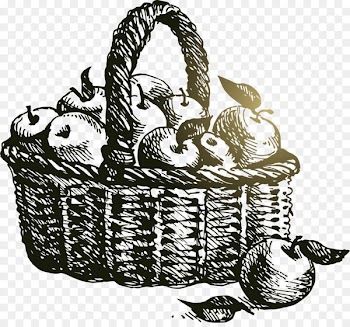 Basketball Adobe Illustrator Rubber stamp - A basket of apple vector 