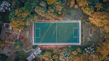 Basketball Court