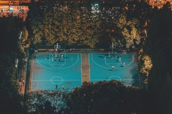 basketball court surrounded by green leafed trees