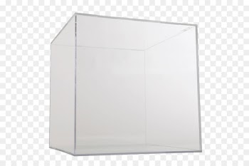 Basketball Display case Display stand Jersey - Baseball Bat and Ball Display Case 