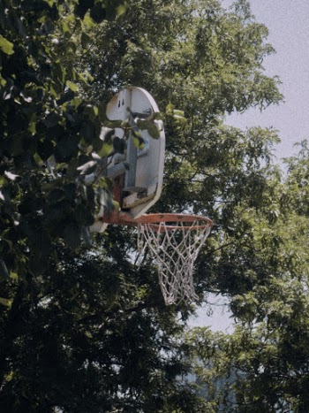 Basketball Hoop