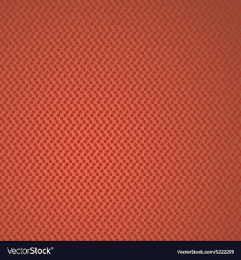 Basketball skin vector image