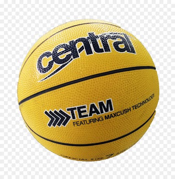 Basketball Team sport Volleyball - basketball 
