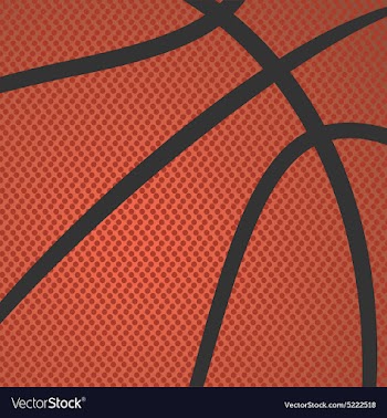 Basketball texture vector image