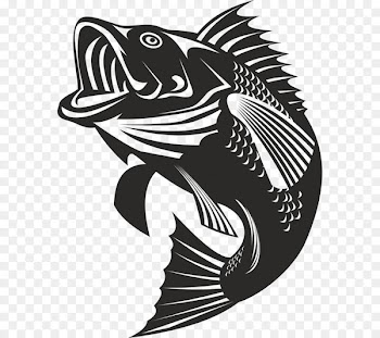 Bass fishing Bass fishing Largemouth bass Angling - fishing 