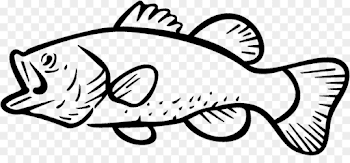Bass fishing Largemouth bass Clip art - Fishing png download ...