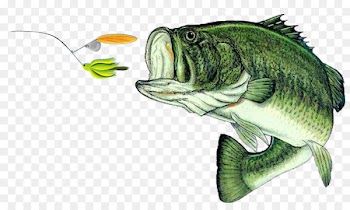 Bass fishing Largemouth bass Decal - Fishing 
