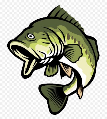Bass Stock illustration Clip art - Green cartoon fish 