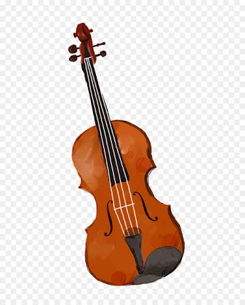 Bass violin Violone Viola Double bass - violin 