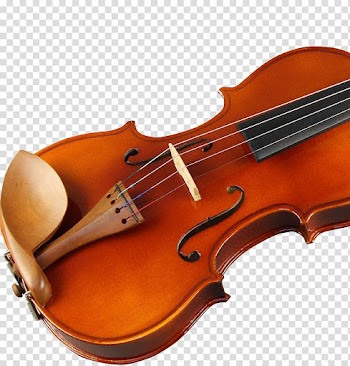 Bass violin Violone Viola Fiddle, Cotton Tree violin Zaomu transparent background PNG clipart