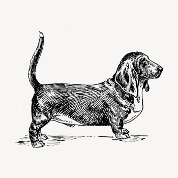Basset hound dog drawing clipart, | Free Vector - rawpixel