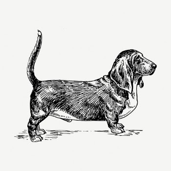 Basset hound dog drawing, vintage | Free PSD - rawpixel