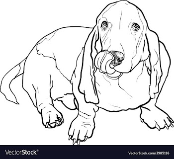 Basset hound dog sitting and stick out its tongue vector image