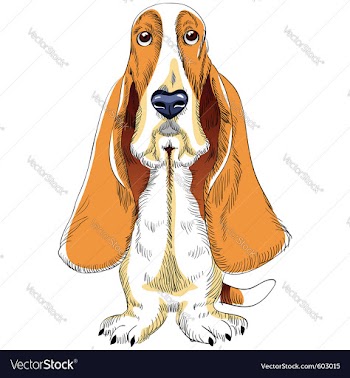  					Basset hound vector&nbsp;image														