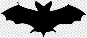 Bat , bat transparent background PNG clipart