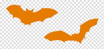 Bat , bat transparent background PNG clipart