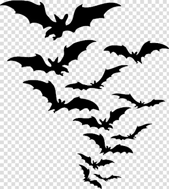 Bat , bat transparent background PNG clipart