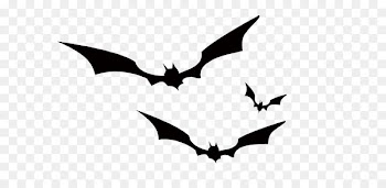 Bat Crows Black and white - bat 