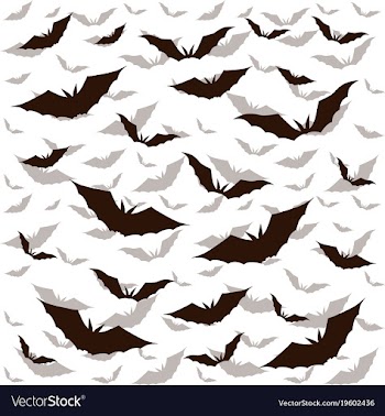 Bat dark vector image
