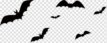 Bat Halloween, bat transparent background PNG clipart