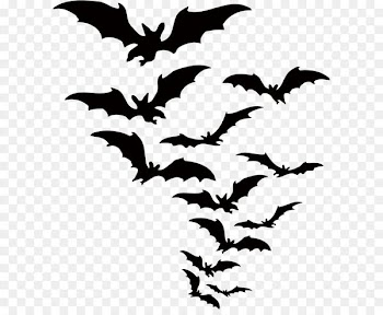 Bat Halloween Clip art - Vector bat 
