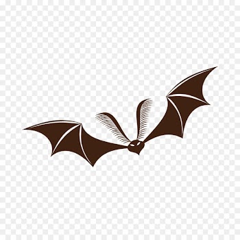 Bat Halloween Ghost Jack-o'-lantern Festival - halloween background 