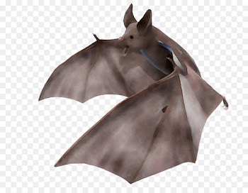 BAT-M -  