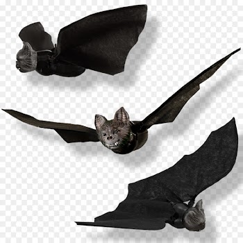 BAT-M - others 