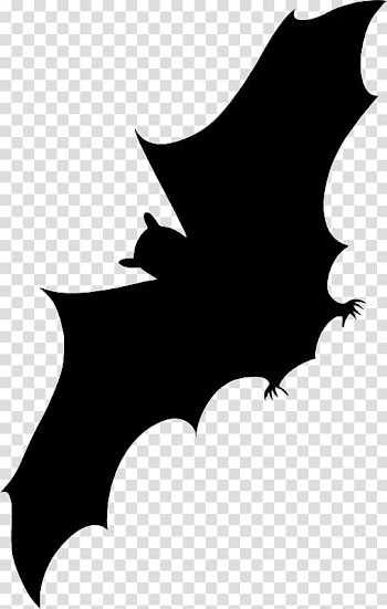 Bat Silhouette , bat transparent background PNG clipart
