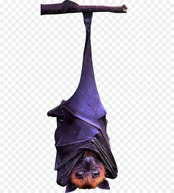 Bat Transparency and translucency - Free to pull material upside down bat 
