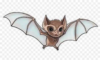 bat vampire bat little brown myotis cartoon fictional character