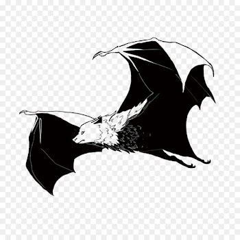 Bat - Vector bat 
