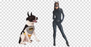 Batman Batgirl Catwoman T-shirt Robin, batman transparent background PNG clipart