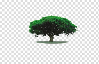 Battery charger Tree Power supply, tree transparent background PNG clipart