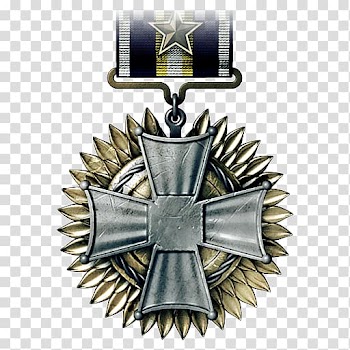 Battlefield 3 Medal of Honor: Warfighter Accounting Principles for Tax Purposes Ribbon, medal transparent background PNG clipart