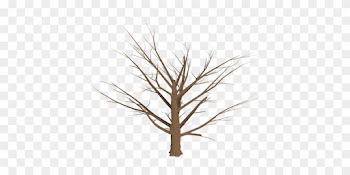 Baum, Freigestellt, Abgestorben - Wilting Tree Transparent Backround