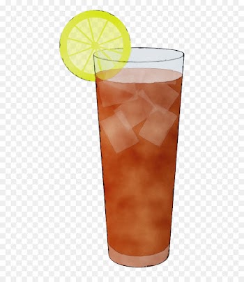 Bay Breeze, Orange Drink, Cocktail Garnish, Drink, Highball Glass PNG