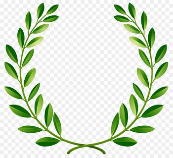 Bay Laurel Laurel wreath Clip art - green vector 