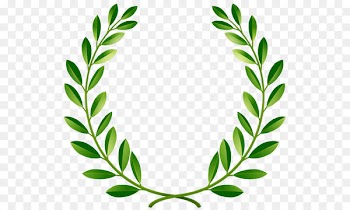 Bay Laurel Laurel wreath Clip art - Greenpeace olive branch 