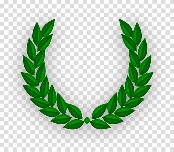 Bay Laurel Laurel wreath, olive wreath transparent background PNG clipart