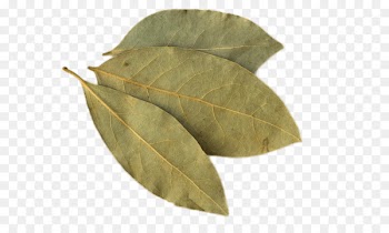 Bay leaf Indian cuisine Bay Laurel Herb Food - cooking 