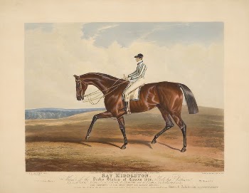 Bay Middleton. Winner of the Derby | Free Photo - rawpixel